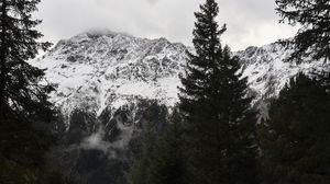 Preview wallpaper mountains, trees, snow, road, landscape