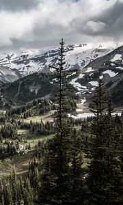 Preview wallpaper mountains, trees, snow, view, nature