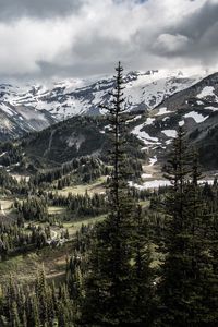 Preview wallpaper mountains, trees, snow, view, nature