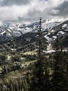 Preview wallpaper mountains, trees, snow, view, nature