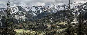 Preview wallpaper mountains, trees, snow, view, nature