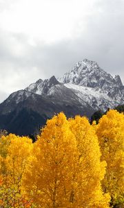 Preview wallpaper mountains, trees, snow, peaks, autumn