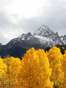 Preview wallpaper mountains, trees, snow, peaks, autumn