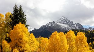 Preview wallpaper mountains, trees, snow, peaks, autumn