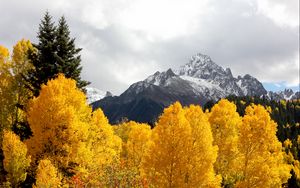 Preview wallpaper mountains, trees, snow, peaks, autumn