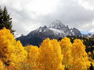 Preview wallpaper mountains, trees, snow, peaks, autumn