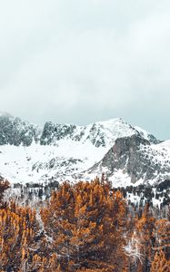 Preview wallpaper mountains, trees, snow-covered, peaks