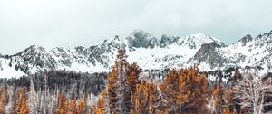 Preview wallpaper mountains, trees, snow-covered, peaks