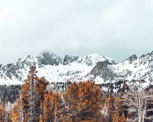 Preview wallpaper mountains, trees, snow-covered, peaks