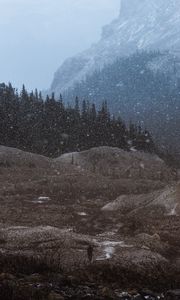 Preview wallpaper mountains, trees, snowfall, landscape, dusk