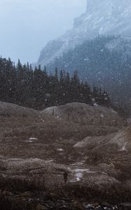 Preview wallpaper mountains, trees, snowfall, landscape, dusk