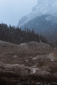 Preview wallpaper mountains, trees, snowfall, landscape, dusk