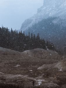 Preview wallpaper mountains, trees, snowfall, landscape, dusk