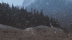 Preview wallpaper mountains, trees, snowfall, landscape, dusk