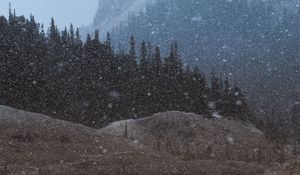 Preview wallpaper mountains, trees, snowfall, landscape, dusk