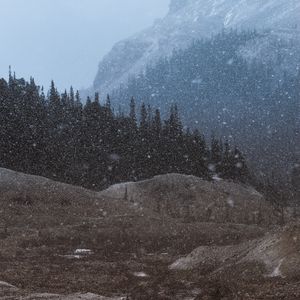 Preview wallpaper mountains, trees, snowfall, landscape, dusk