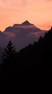 Preview wallpaper mountains, trees, spruce, distance, silhouette