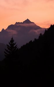 Preview wallpaper mountains, trees, spruce, distance, silhouette