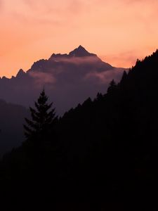 Preview wallpaper mountains, trees, spruce, distance, silhouette