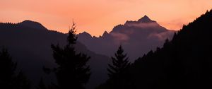 Preview wallpaper mountains, trees, spruce, distance, silhouette