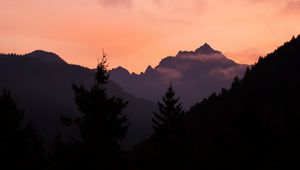 Preview wallpaper mountains, trees, spruce, distance, silhouette