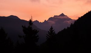 Preview wallpaper mountains, trees, spruce, distance, silhouette