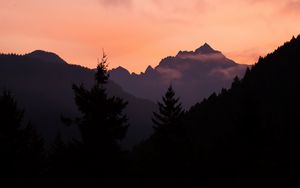 Preview wallpaper mountains, trees, spruce, distance, silhouette