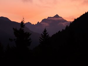 Preview wallpaper mountains, trees, spruce, distance, silhouette