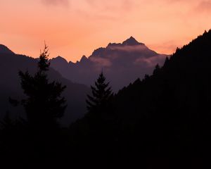 Preview wallpaper mountains, trees, spruce, distance, silhouette