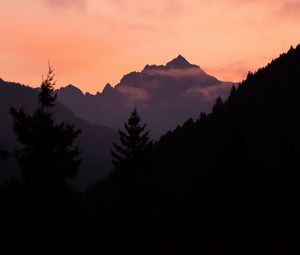 Preview wallpaper mountains, trees, spruce, distance, silhouette