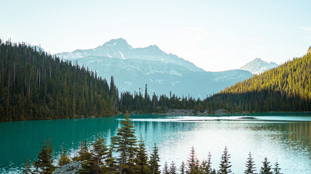 Wallpaper mountains, trees, spruce, lake, forest