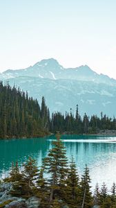 Preview wallpaper mountains, trees, spruce, lake, forest