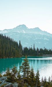 Preview wallpaper mountains, trees, spruce, lake, forest