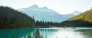 Preview wallpaper mountains, trees, spruce, lake, forest