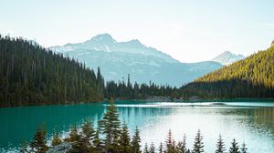 Preview wallpaper mountains, trees, spruce, lake, forest