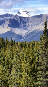 Preview wallpaper mountains, trees, spruce, clouds, rocks