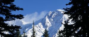 Preview wallpaper mountains, trees, spruce, branches, snow, snowy