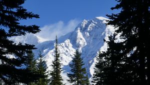 Preview wallpaper mountains, trees, spruce, branches, snow, snowy