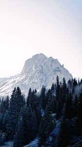 Preview wallpaper mountains, trees, spruce, snow, sky