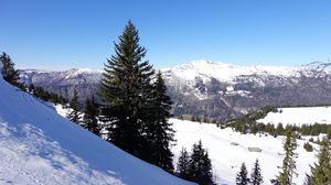 Preview wallpaper mountains, trees, spruce, snow, winter