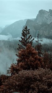 Preview wallpaper mountains, trees, spruce, fog, nature