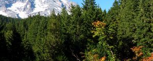 Preview wallpaper mountains, trees, spruce, grass, summer, sky