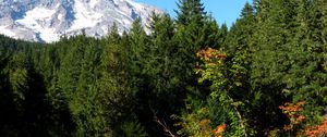 Preview wallpaper mountains, trees, spruce, grass, summer, sky