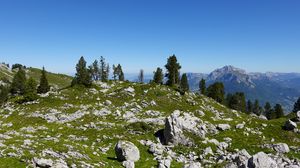 Preview wallpaper mountains, trees, stones, nature, landscape