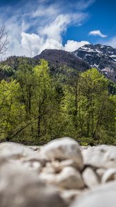 Preview wallpaper mountains, trees, stones, clouds, nature
