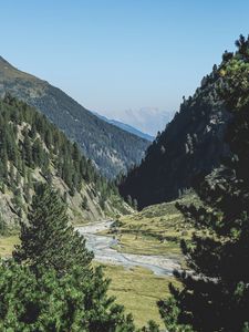 Preview wallpaper mountains, trees, summer, grass
