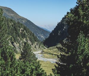 Preview wallpaper mountains, trees, summer, grass