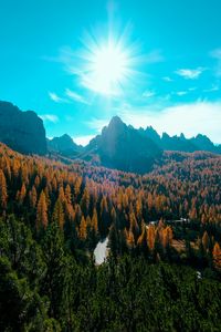 Preview wallpaper mountains, trees, sun, rays, autumn, aerial view