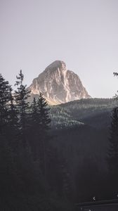 Preview wallpaper mountains, trees, top, forest, landscape