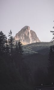 Preview wallpaper mountains, trees, top, forest, landscape